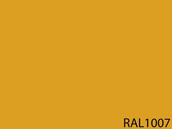 RAL 1007