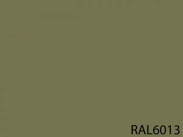 RAL 6013