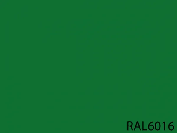 RAL 6016