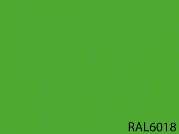 RAL 6018