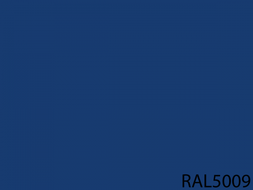 RAL 5009