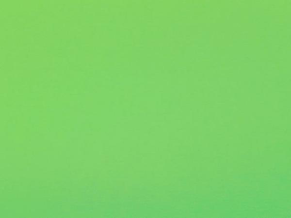 Carina 4979 - borsó zöld