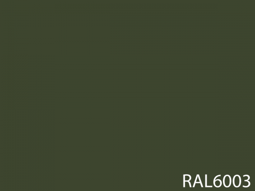RAL 6003