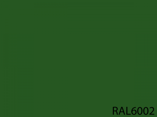 RAL 6002
