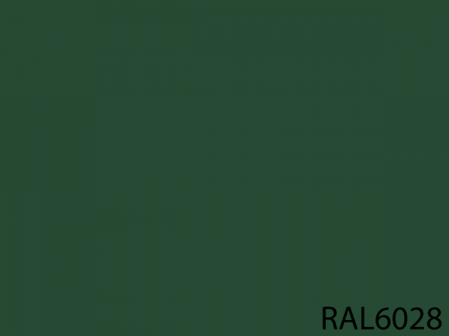 RAL 6028